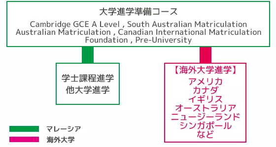 大学進学準備コース