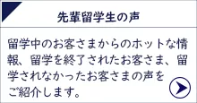 先輩留学生の声