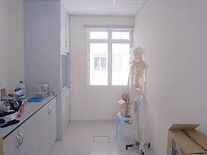 生物用人体模型