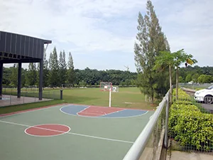 グラウンド