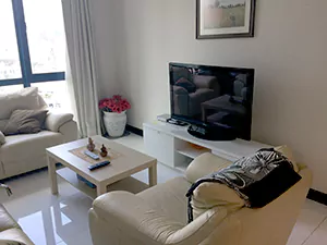 テレビ