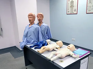 実習用人体模型