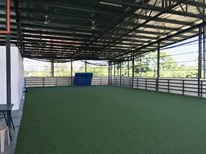 屋内グラウンド