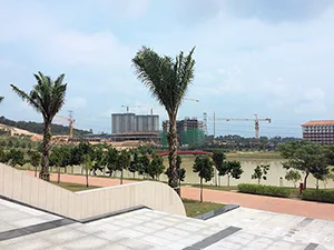 湖
